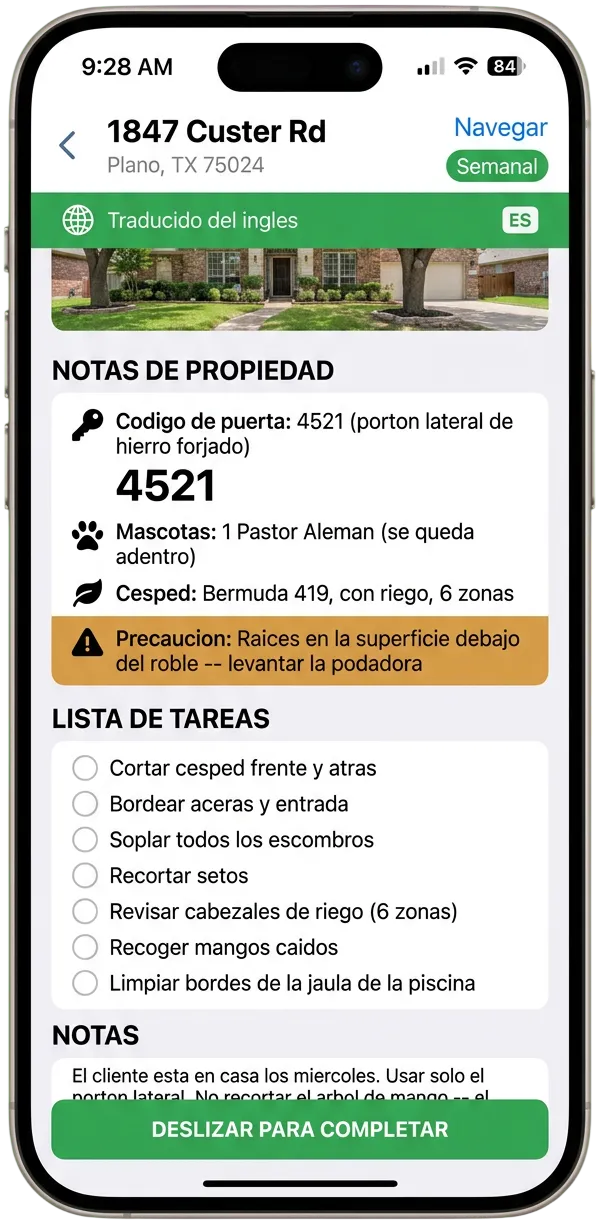 Auto-translate
